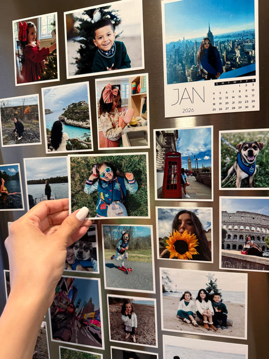 Large Photo Magnets 3.25x4 (set of 6)