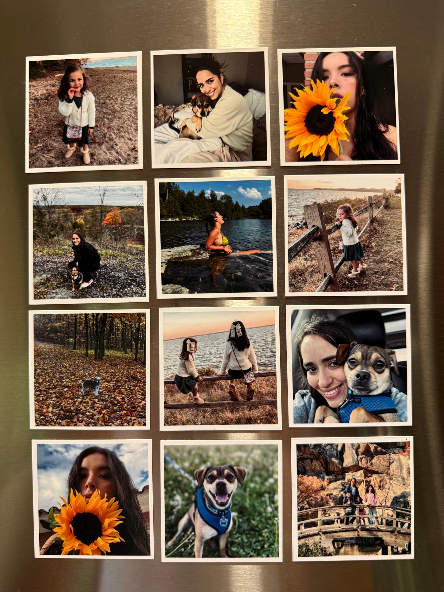 Small Photo Magnets 2.75x2.75 (set of 12)